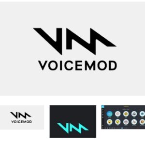 VOICEMOD Voicemod Pro