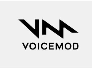 VOICEMOD Voicemod Pro